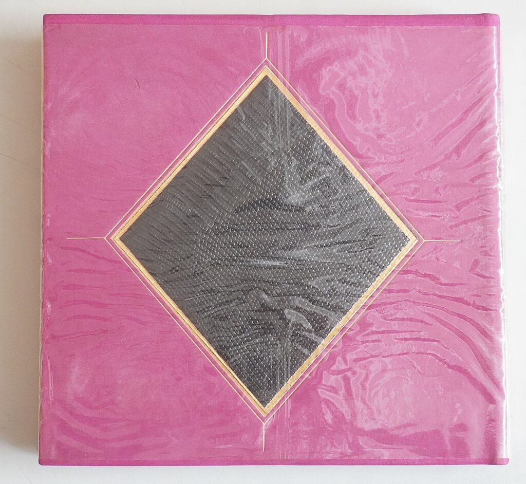 戯曲｢黒蜥蜴｣書籍本体